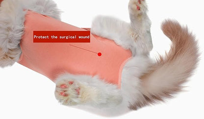 Cat Recovery Suit Female Kitten Onesie for Cats After Surgery Female Spay Surgical Abdominal Wound Skin Diseases Cone Collar Soft Alternative Wear (Orange, L)