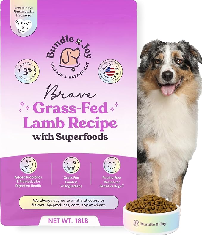 Bundle x Joy Brave Probiotic Dog Food Dry, Lamb, 18lb Bag, Natural Grain Free Adult Kibble for Digestive Health Made with Real New Zealand Lamb, 20 Plant Based Superfoods, Corn, Poultry & Soy Free
