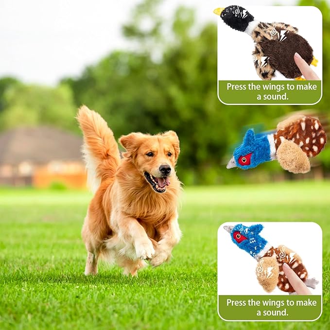 2-Pack Stuffing-Free Squeaky Dog Toys – Pheasant & Duck Plush (4 Squeakers Each) | Durable Hollow Body for Medium Dogs | No Stuffing, Safe & Mess-Free