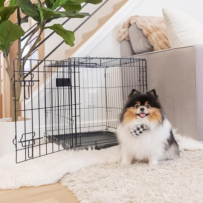 Carlson Pet Products SECURE AND FOLDABLE Single Door Metal Dog Crate, Small, 24.0"L x 18.0"W x 19.0"H