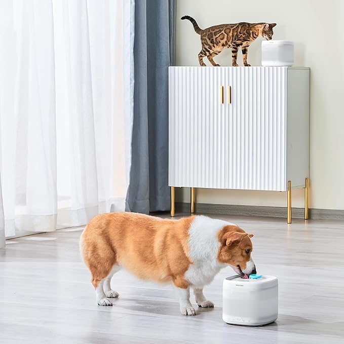 PAWGETHER® 3Pcs Cat Water Fountain Filter Compatible with 67oz/2L Dog Water Fountain P3/P3s/P3SU Pet Water Fountain Replacement Filter