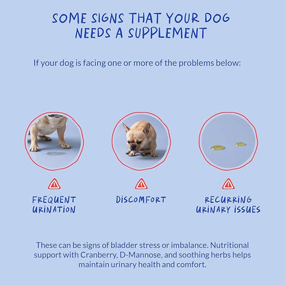 Cranberry for Dogs - 90 Soft Chews - Urinary Tract Support, Bladder Health, Dog UTI, Bladder Stones, Incontinence Support (Soft Chews)