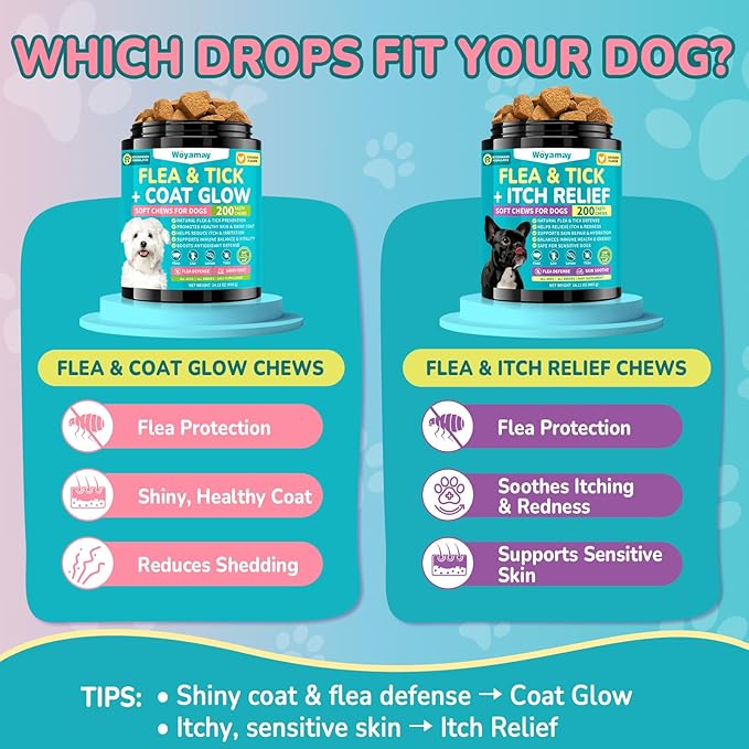 Woyamay Flea + Coat Glow Soft Chews, Natural Flea and Tick Prevention for Dogs, Dog Flea and Tick Treatment Chewable, Reduces Itch & Shedding with Fish Oil & Neem, Chicken Flavor