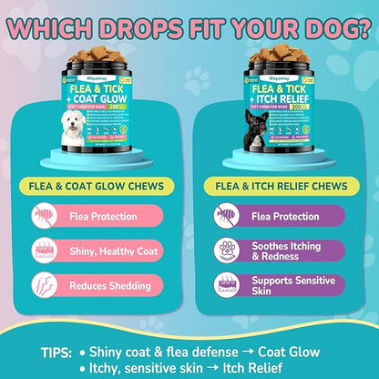 Woyamay Flea + Coat Glow Soft Chews, Natural Flea and Tick Prevention for Dogs, Dog Flea and Tick Treatment Chewable, Reduces Itch & Shedding with Fish Oil & Neem, Chicken Flavor