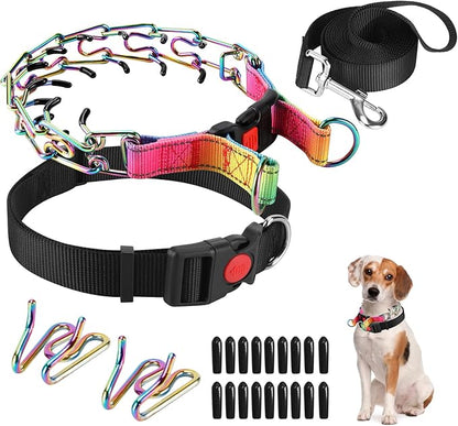 Prong Training Collar With Nylon Cover Comfort Tips and Quick Release Snap Buckle, Classic Collar and Leash for Small Medium Large Dogs