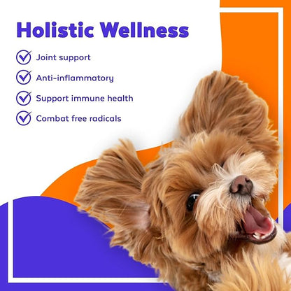 Jack & Milo Supplement Anti Inflammatory for Dogs with Turmeric, Hip, and Joint - Dog Arthritis Pain Relief, Support for Mobility & Wellness, USA Made-GMP Certified, Non-GMO, 120 Tablets