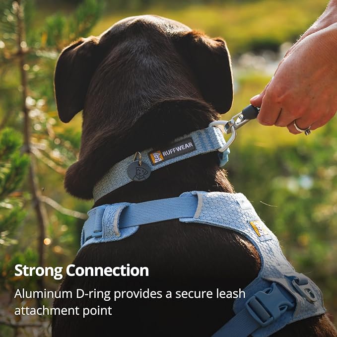 Ruffwear, Front Range Flex Dog Collar, Soft Engineered Knit for Everyday Walks, Lightweight Adjustable with Aluminum V-Ring, Integrated ID Tag Silencer, Quick Release Buckle, Basalt Gray, 11"-14"