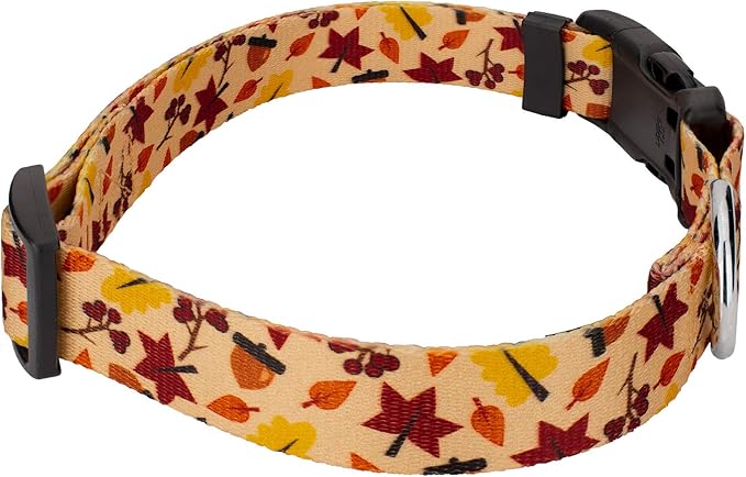 Country Brook Petz - Fall Foliage Everyday Dog Collar and Leash - Awesome Autumn Collection Featuring Designs You Will Fall for (1/2 Inch, Extra Small)