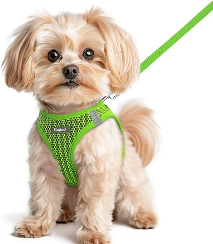 Eagloo Small Dog Harness and Leash Set, Step in Puppy Vest with Breathable Soft Mesh, Walking Reflective Pet Harness for Small Dogs, Green, XS