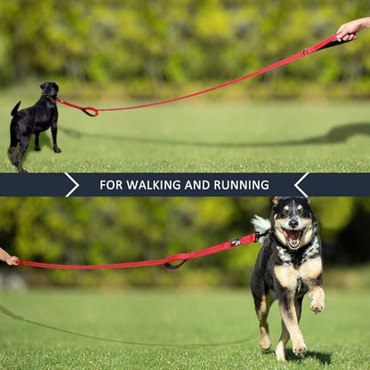 Plutus Pet Double Handle Dog Leash 5ft, Heavy Duty, Reflective Dual Handle Dog Leash for Safety Training, for Medium Large Dogs,2 Handle Leads(Red)