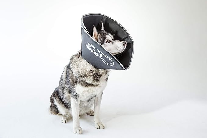 All Four Paws Comfy Cone Pet Cone for Dogs, Cats, Large, Black - Comfortable Soft Dog Cone Collar Alternative for After Surgery, Wound Care, Spay, Neuter - Dog and Cat Recovery Elizabethan-Collar