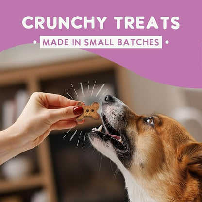 Health Extension Oven-Baked Dog Treats, Lamb Recipe – Gluten & Wheat-Free, Superfood-Infused, Crunchy Biscuits for Puppy Training (6oz)