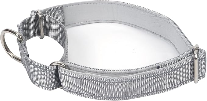 SGODA Martingale Dog Collar, Reflective Nylon Padded Dog Training Collars for Small Dogs, Grey S
