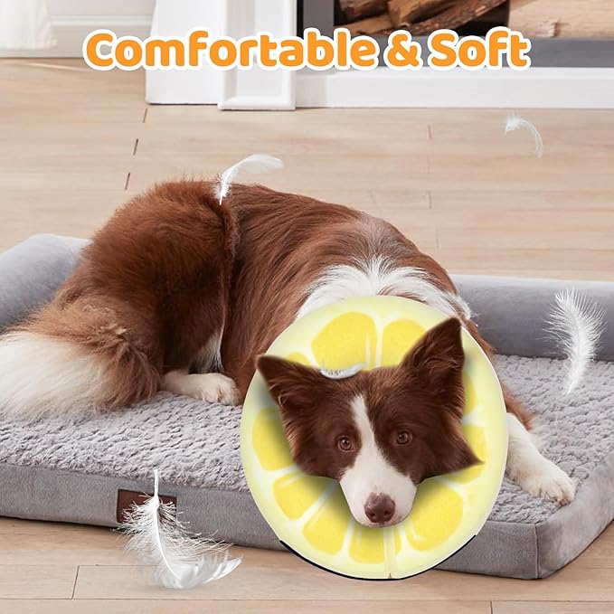 Adjustable Inflatable Dog Cone Collar for Surgery Recovery, Soft Cone for Dogs & Cats, Portable & Washable Dog Donut Collar, Large Cat Cone E Collar (Yellow M)