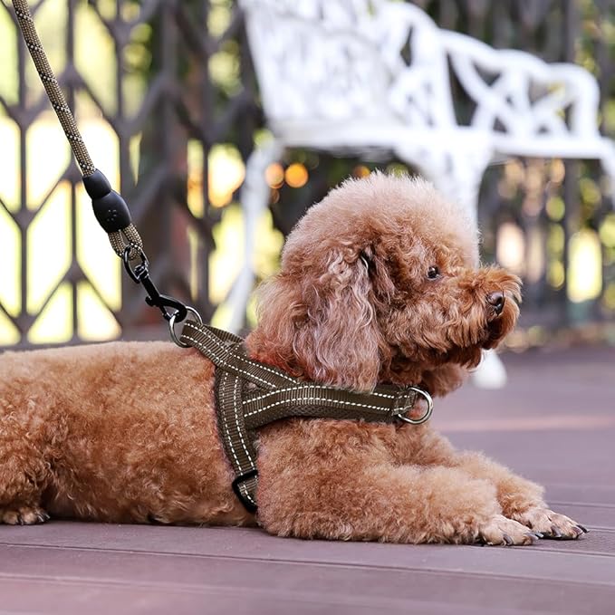 Plutus Pet No Pull Dog Harness with Breathable Mesh Padded, Adjustable Reflective Escape Proof Dog Harness, Quick Fit Dog Vest Harness for Small Medium Large Dogs(S, Chocolate)