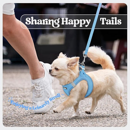 rabbitgoo Dog Harness Small Sized and Leash Set, Step in Soft Light Puppy Vest, Breathable Mesh Pet Harness, Reflective for Safe Easy Walking, Blue XS