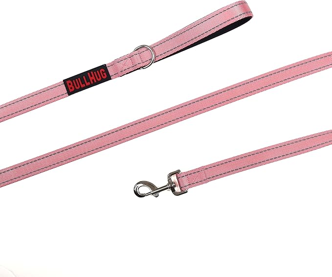 BULLHUG 6 FT Bulldog Leash with Padded Handle. Perfect for Bulldogs, French Bulldogs, Pugs & All Breeds. Leashes for Walking, Training Lead for Bulldogs (Reflective Stitching, Blue)