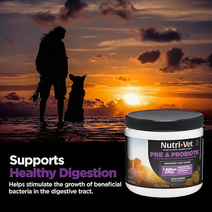 Nutri-Vet Pre & Probiotics for Dogs, Digestive Support, Upset Stomach, Puppy Probiotic, Pet Vitamins and Supplements, Dog Probiotics, Liver & Cheese Flavor, 120 Soft Chews