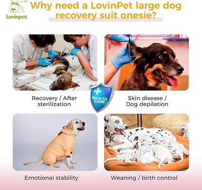 LovinPet Dog Recovery Suit - Medium Large - Dog Bodysuit for Abdominal Wound After Surgery Leg wrap,Wavy Blue,Post-Operative Vest E-Collar Alternative,Cattle,Yellow,M