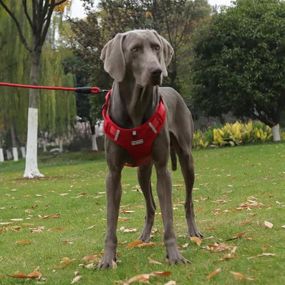 Dog Harness No Pull Adjustable Reflective,for Medium and Large Small Dog with Leash 59.06in (Red, M)