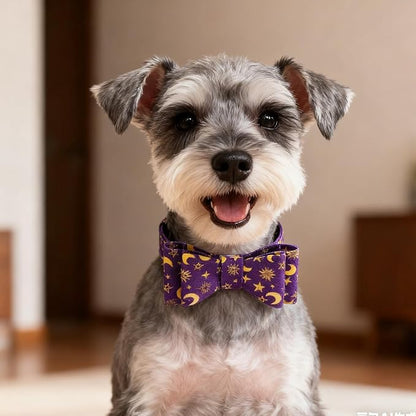 EXPAWLORER Dog Collar and Leash Set - Purple Star-Moon Dog Bow Tie and Dog Bandana Collar with Bell, Dog Leash Tangle Free, Adjustable Collars for Small Medium Large Dogs Cats, Holiday Ideal Gift, S