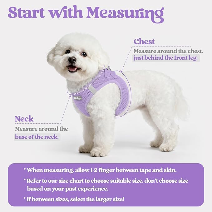 rabbitgoo Dog Harness Medium Sized and Leash Set, Step in Soft Light Puppy Vest, Breathable Mesh Pet Harness, Reflective for Safe Easy Walking, Light Purple XXL