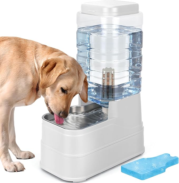 2.2 Gallon Pet Automatic Dog Water Dispenser Cat Gravity Waterer Feeder with Stainless Steel Bowl Large Capacity Puppy Feeding Raised Bowls with Filter,Ice Pack (White, 8L(2.2 Gallon))