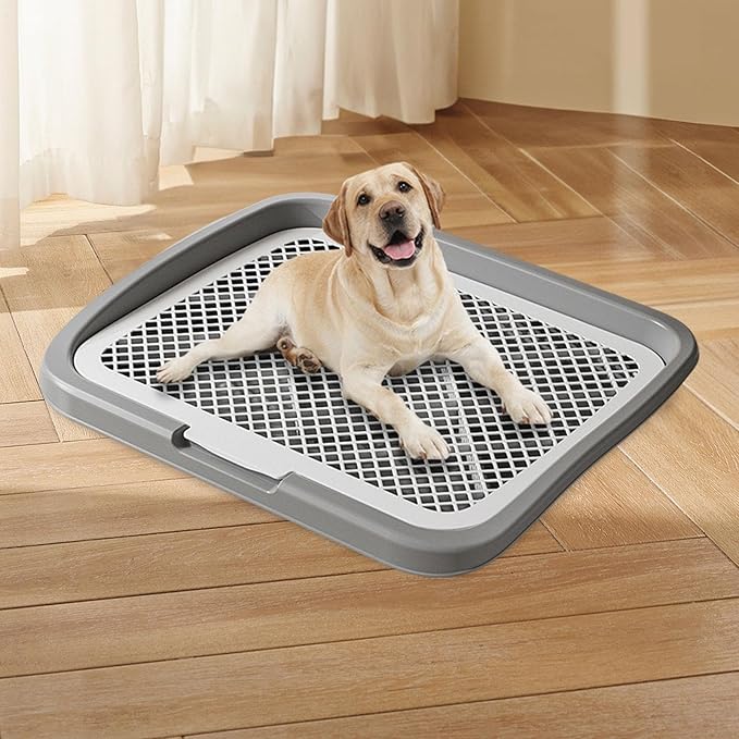 Dog Toilet Training, Toilet Puppy Pad Holder, Non-Slip, with Column, Dog Pee Holder, Training Pad for, Home, Dorm, Gray