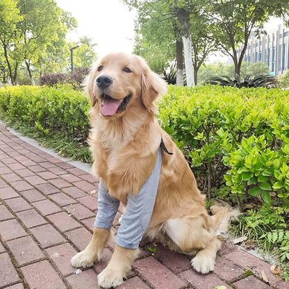 Dog Recovery Suit for Front Legs, Dog Recovery Sleeves After Surgery with Elastic Band, Soft Protective Elbow Braces for Medium Large Dogs, Cone Collar Alternative to Stop Licking Leg Wounds,Grey,XL