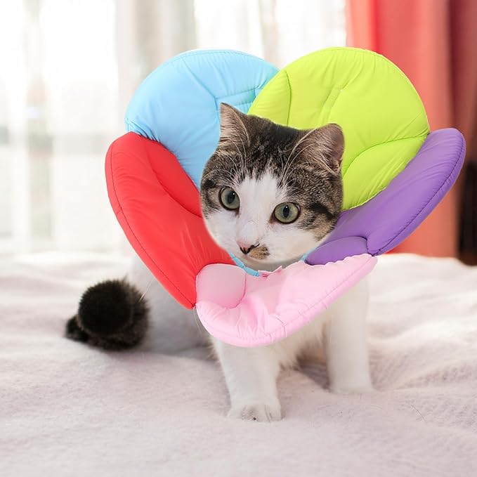 POPETPOP Flower Shaped Elizabethan Collar for Dogs Size L - Lightweight No Lick Protective Recovery Neck Cover for Post Surgery and Injury Care