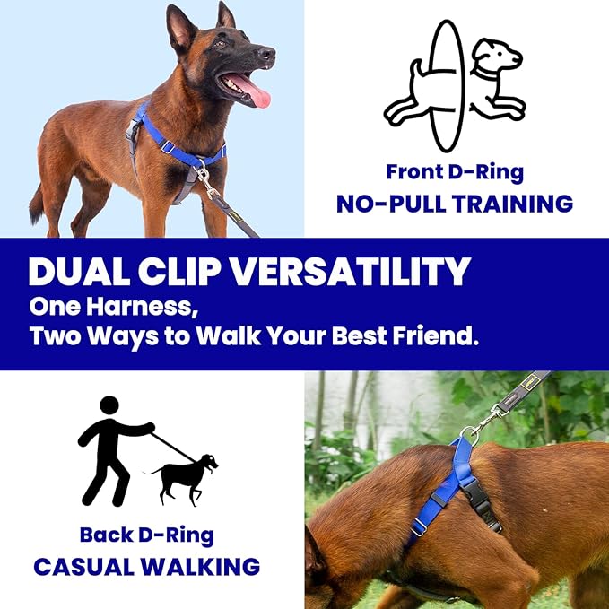 Easy Walk No Pull Dog Harness, Freedom Walk with Front and Back Clips Stainless D-Rings, Comfortable, Sewn-in Instructions Tags for Easy Use, for Medium Dogs Weight 30-39lbs (Blue, M)
