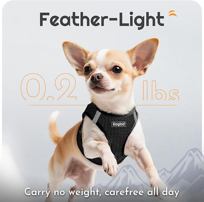 Eagloo Small Dog Harness and Leash Set, Step in Puppy Vest with Breathable Soft Mesh, Walking Reflective Pet Harness for Small Dogs, Black, XS