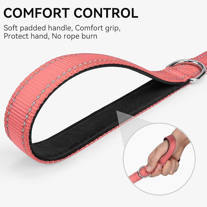 Joytale Dog Leash, 5 FT Double-Sided Reflective, Padded Handle Nylon Heavy Duty Leashes for Small Dogs Walking, Neon Pink