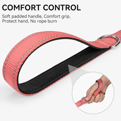 Joytale Dog Leash, 5 FT Double-Sided Reflective, Padded Handle Nylon Heavy Duty Leashes for Small Dogs Walking, Neon Pink