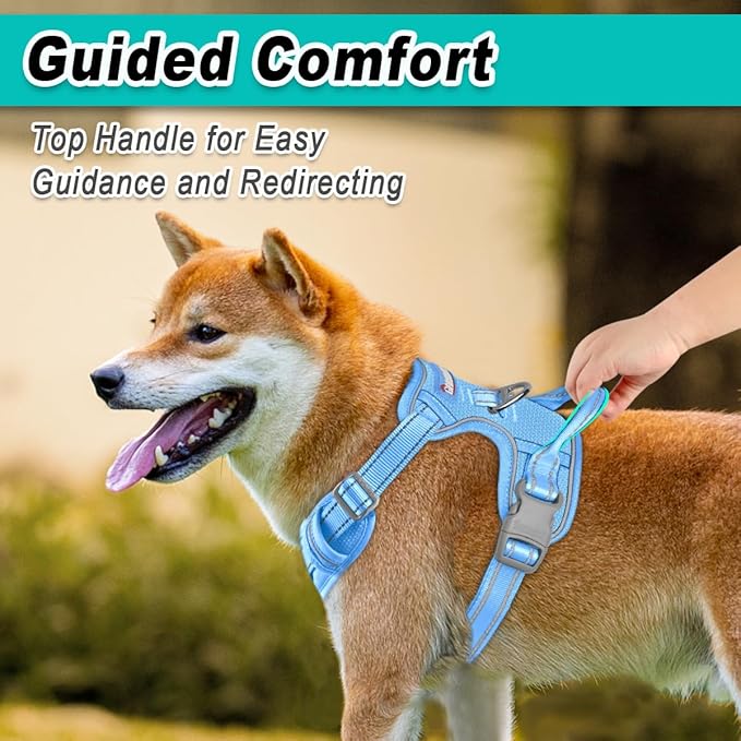 BARKBAY Dog Harness No Pull Mesh for Large Dogs - Adjustable, Reflective, Comfortable, No Choke, Heavy-Duty - Perfect for Outdoor Training, Walking, and Hiking-Strong & Durable- XL & Blue Mesh