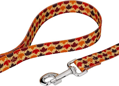 Country Brook Petz - Nature Walk Everyday Dog Collar and Leash Limited Edition - Awesome Autumn Collection Featuring Designs You Will Fall for (1 Inch, Extra Large)