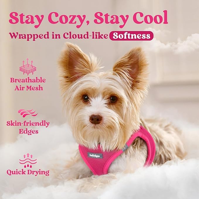 rabbitgoo Small Dog Harness, Step-in Soft Mesh Puppy Vest with Safety Buckle, Breathable Reflective Pet Harness for Extra Small Dogs, Rose Red XXS