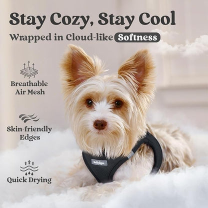 rabbitgoo Small Dog Harness, Step-in Soft Mesh Puppy Vest with Safety Buckle, Breathable Reflective Pet Harness for Large Dogs, Black XXL