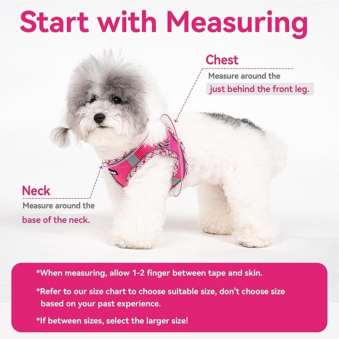 Petank Dog Harness for Small Medium Dogs No Pull, Puppy Harness and Leash Set for Walking, Running, Training, Small Dog Harness, Medium Dog Harness (Brown, XS)