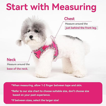 Petank Dog Harness for Small Medium Dogs No Pull, Puppy Harness and Leash Set for Walking, Running, Training, Small Dog Harness, Medium Dog Harness (Brown, XS)
