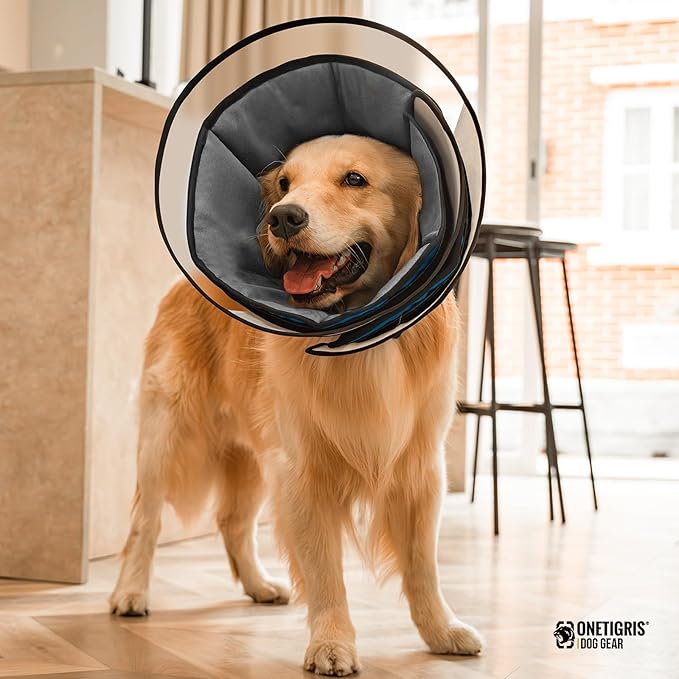 OneTigris Elizabethan Collar Soft Dog Cone for Dogs After Surgery, Breathable Pet Recovery Collar for Large Medium Small Dogs and Cats, Adjustable Dog Cone Collar (Blue, M)