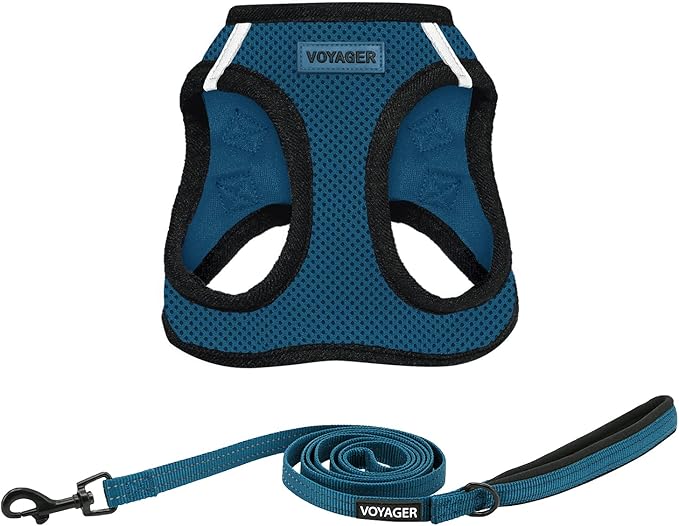 Best Pet Supplies Voyager Step-in Air All Weather Mesh Harness and Reflective Dog 5ft Leash Combo with Neoprene Handle, for Small, Medium and Large Breed Puppies - Set (Blue/Black Trim), Small