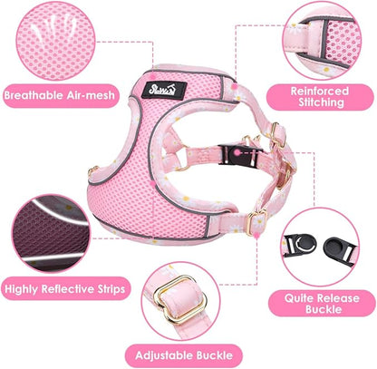 SlowTon Small Dog Harness - No Pull Dog Harness and Leash Set, Soft Mesh Lightweight Puppy Vest Harnesses, Adjustable Pet Harnesses for XXS XS Small Medium Easy Walk Hiking (Pink, XXS)
