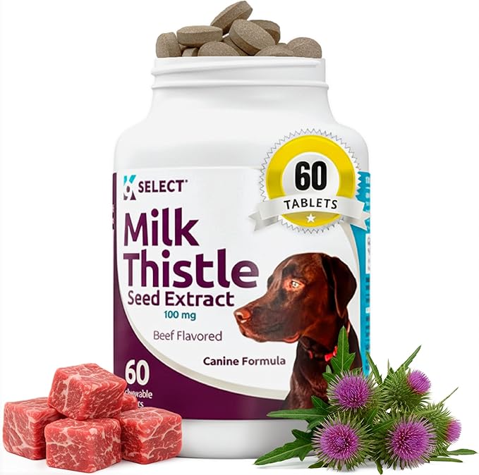 Milk Thistle Dog Liver Supplement 100mg | Liver Support & Detox for Dogs | 60 Beef Flavored Tablets | Canine Liver Health Formula | Natural Milk Thistle for Dogs Liver Support