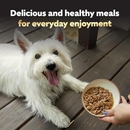 Cesar Filets in Gravy Adult Wet Dog Food Variety Pack, Filet Mignon and New York Strip Flavors, 3.5 oz. Easy Peel Trays, Variety Pack, 12 Count