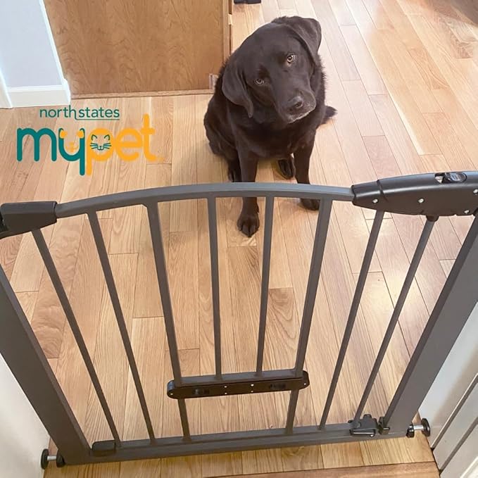 MYPET North States Wide Deco EasyPass Pet Gate with Patented Adjustable pet Door: 29.75" - 40.5" Wide Dog Gate. Pressure Mount, No Tools Needed. Dog Gates for The House, 31" Tall, Graphite