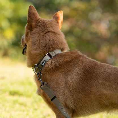 Hyhug Martingale Collar for Dogs Small Green |Escape - Proof Heavy Duty Nylon Durable No Buckle, Ideal for Training & Daily Walks