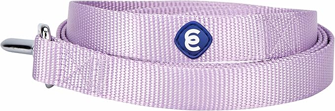 Blueberry Pet Essentials Matching Harness, Collar & Leash Set in Lavender, Adjustable Nylon for Medium & Large Breeds