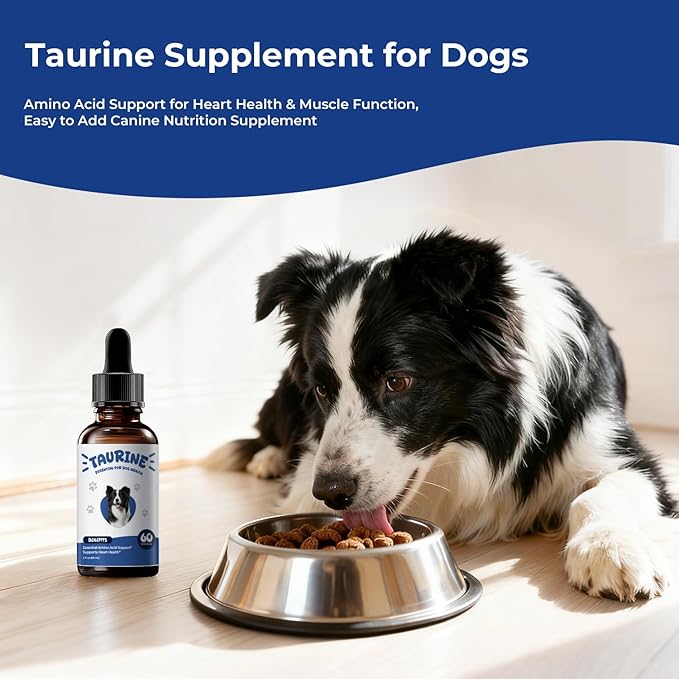 Taurine Supplement for Dogs Liquid Drops Amino Acid Support for Heart Health & Muscle Function, Easy to Add Canine Nutrition Supplement