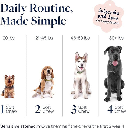 Veterinary Formula Smart Vitality Hip & Joint Supplement for Dogs with Glucosamine – Dog Joint Support, Dog Supplements for Mobility & Flexibility, 60ct